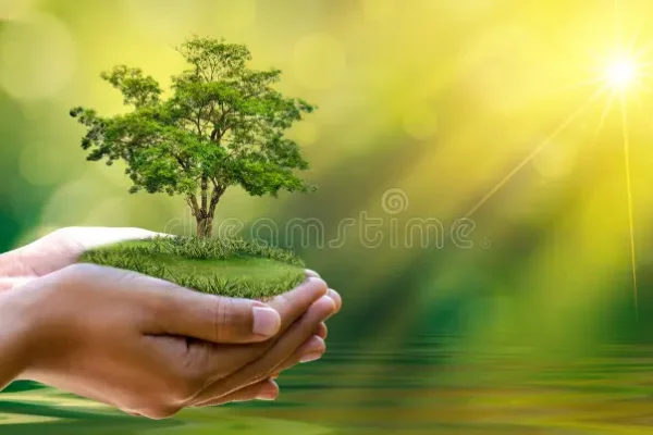 Δράσεις της International Association For Cultural Diplomacy & Circular Economy & Eco Innovation Institute
